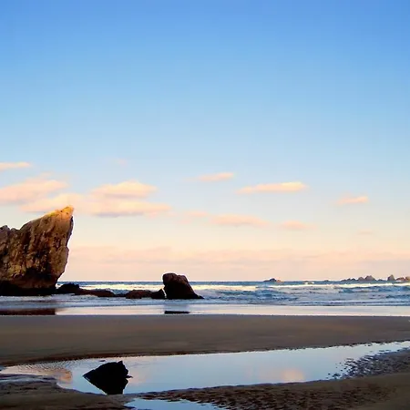 Apartment Turisticos La Flor