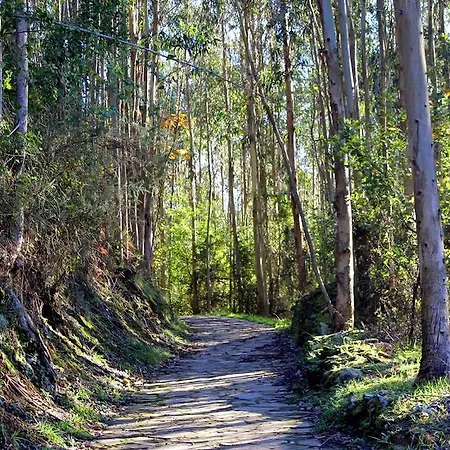 Turisticos La Flor Apartment